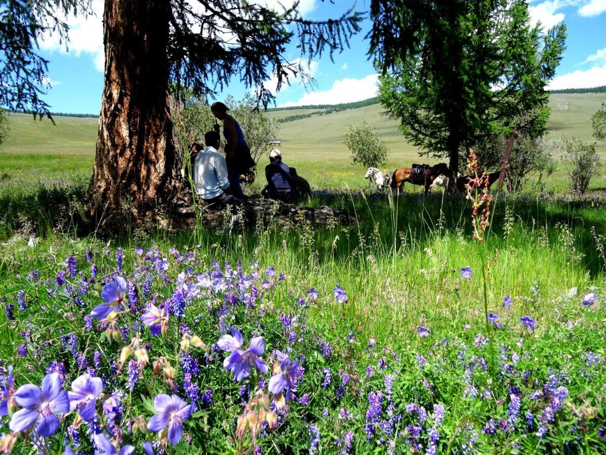 אולן בטור Top Tour & Guesthouse Mongolia מראה חיצוני תמונה